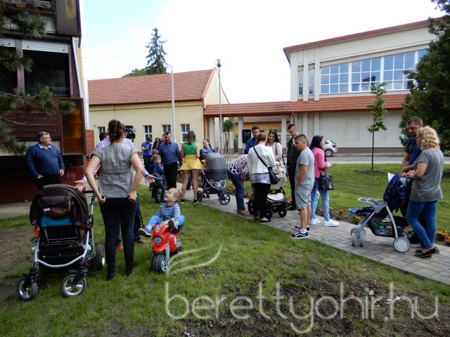 Életfát ültettünk 06